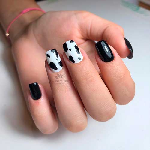 Glossy squared shaped short black nails 2020 with two accent cow nails design!