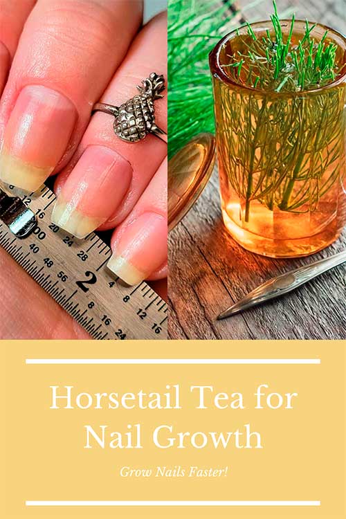 Horsetail Tea for Nails one of the best Home Remedies for Nail Growth!