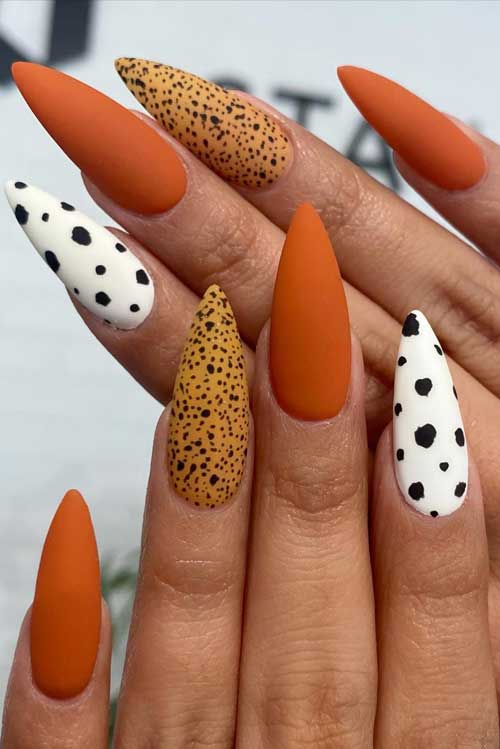 Long Almond Shaped Matte Burnt Orange Nails with an Accent Burnt Yellow Nail Adorned with Black Speckles and Another Cow Print Accent Nail