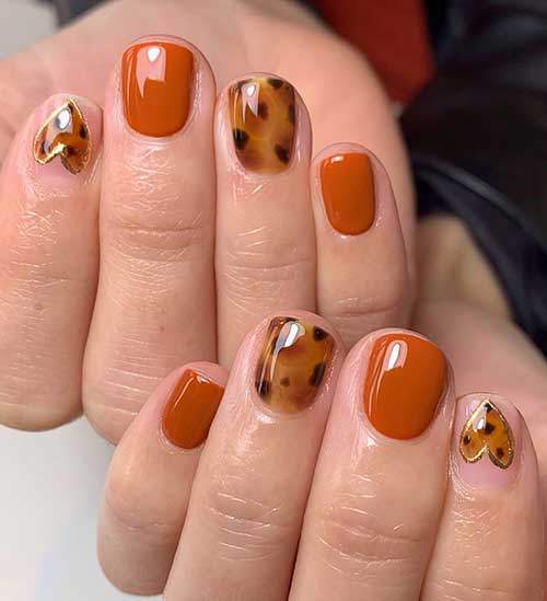 Short Burnt Orange Nails with Tortoise Accent Nails