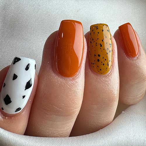 Short burnt orange fall nails with cow prints and black speckles on accent nails